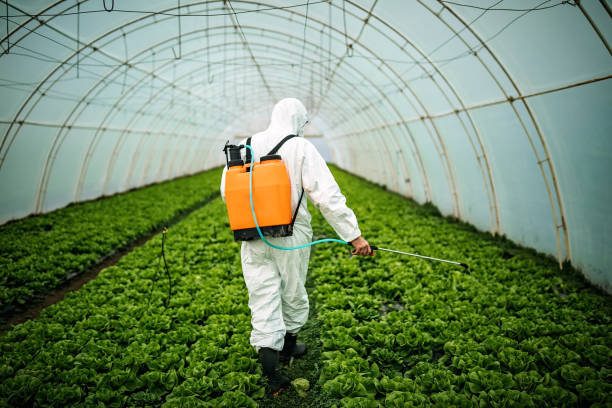 Best Commercial Pest Control Services  in Saxonburg, PA