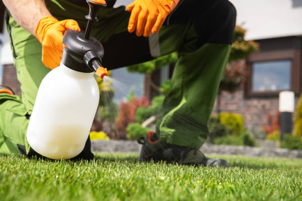Best Pest Control for Homes  in Saxonburg, PA