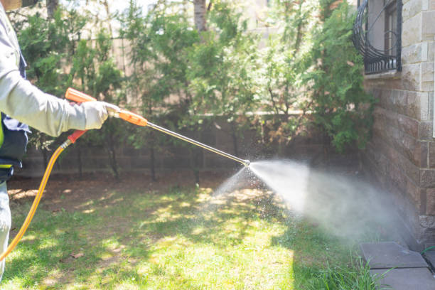 Best Affordable Pest Control Services  in Saxonburg, PA