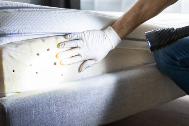 Professional Pest Control in Saxonburg, PA
