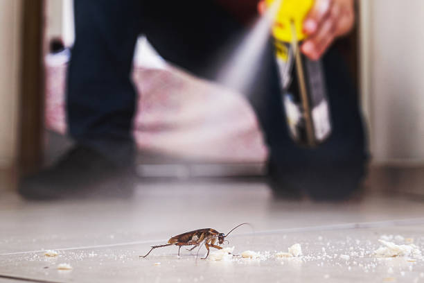 Best Affordable Pest Control Services  in Saxonburg, PA