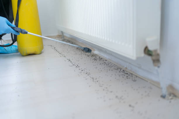 Best Insect Control  in Saxonburg, PA