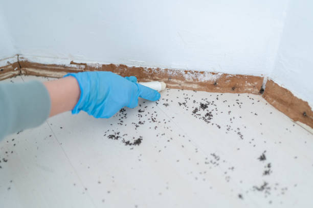 Pest Prevention Services in Saxonburg, PA